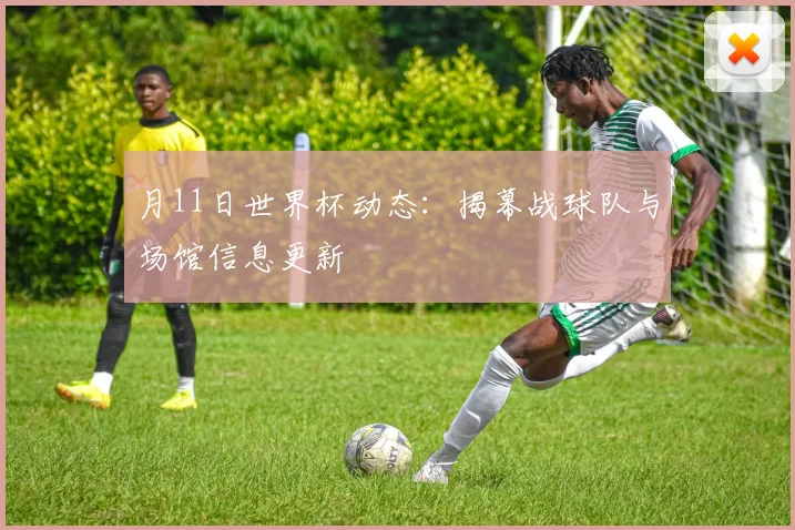 月11日世界杯动态：揭幕战球队与场馆信息更新
